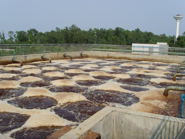 ����̎��ϵ�y(t��ng)